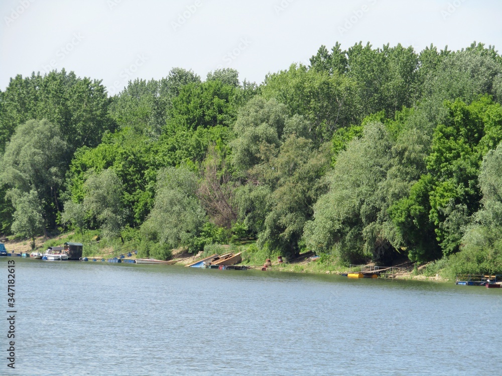 View of the beautiful bank of the river Tisa in Banat, province of Vojvodina, Serbia View of the beautiful bank of the river Tisa in Banat, province of Vojvodina, Serbia