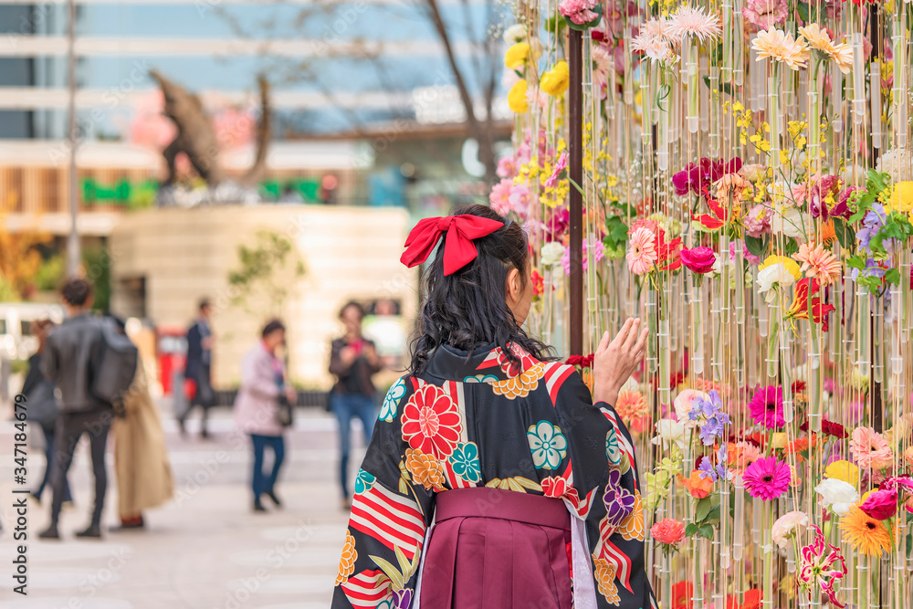 Japanese woman in hakama kimono from behind touching a wall of flowers