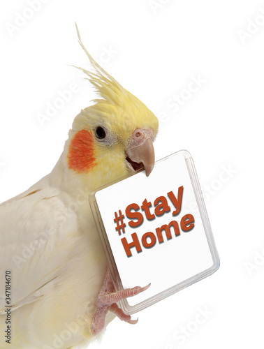 #StayHome