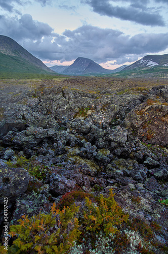 Forest river with stony banks.