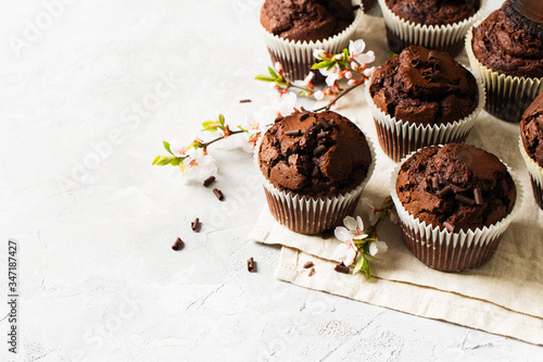 Chocolate cacao muffins flat lay with flowers branches photo