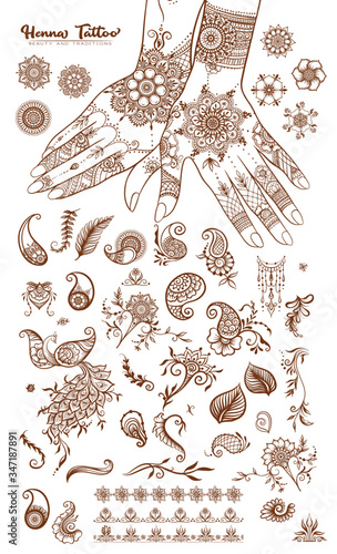 Female hand and set of traditional indian henna tattoo elements. Vector illustration.