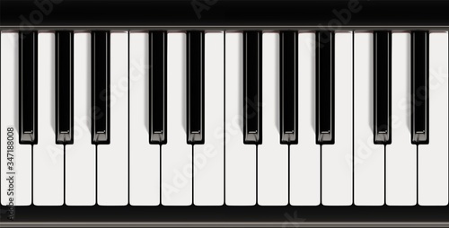 Piano keyboard close up view vector illustration