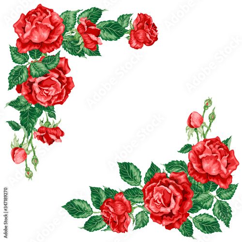 Vector frame illustration with rose flowers