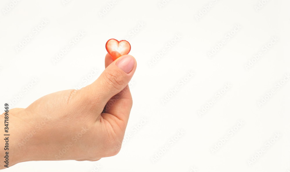 Heart in the hands. On white background. Heart in the hands. On white background.