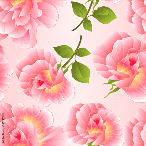 Seamless texture pink rose rosebud with orange center watercolor on a pink background vector illustration editable hand draw