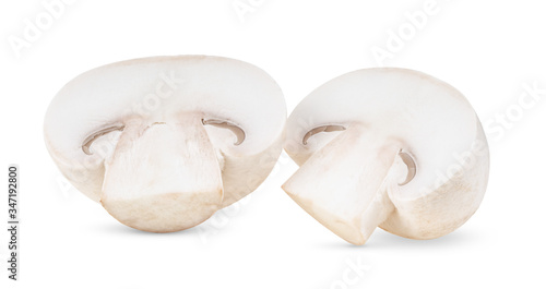 Fresh champignon mushrooms on white background