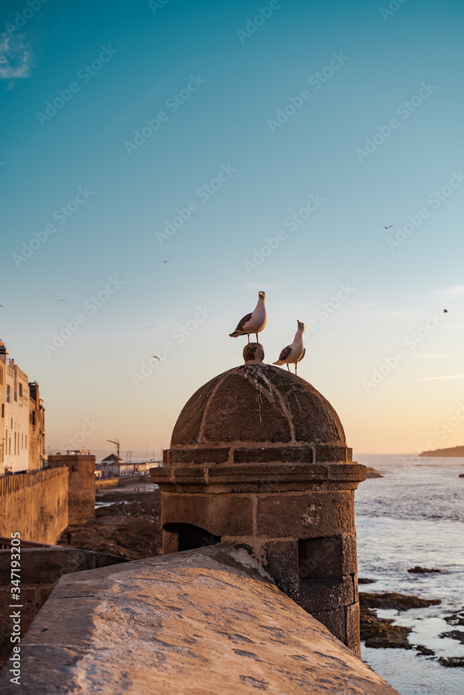 Obraz premium gulls over an ancient fortress on the Atlantic ocean