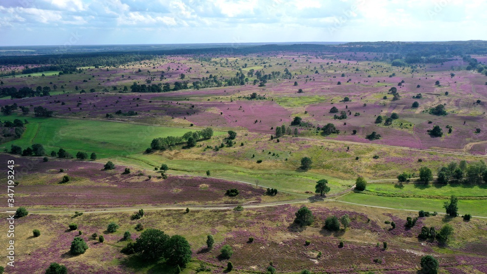 landes de bruyères en Allemagne