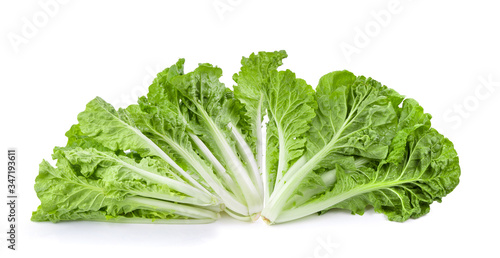 fresh lettuce leaves isolated on white background