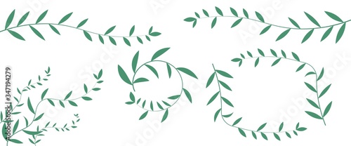 Fototapeta Naklejka Na Ścianę i Meble -  decorative natural elements and frames, green branches with small leaves vector illustration isolated on white background