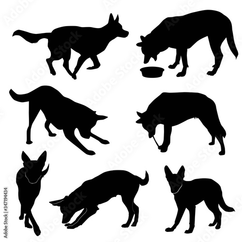 set of silhouettes of big dog in move (run, play, sniff, eat, walk, bite), vector isolated on white background