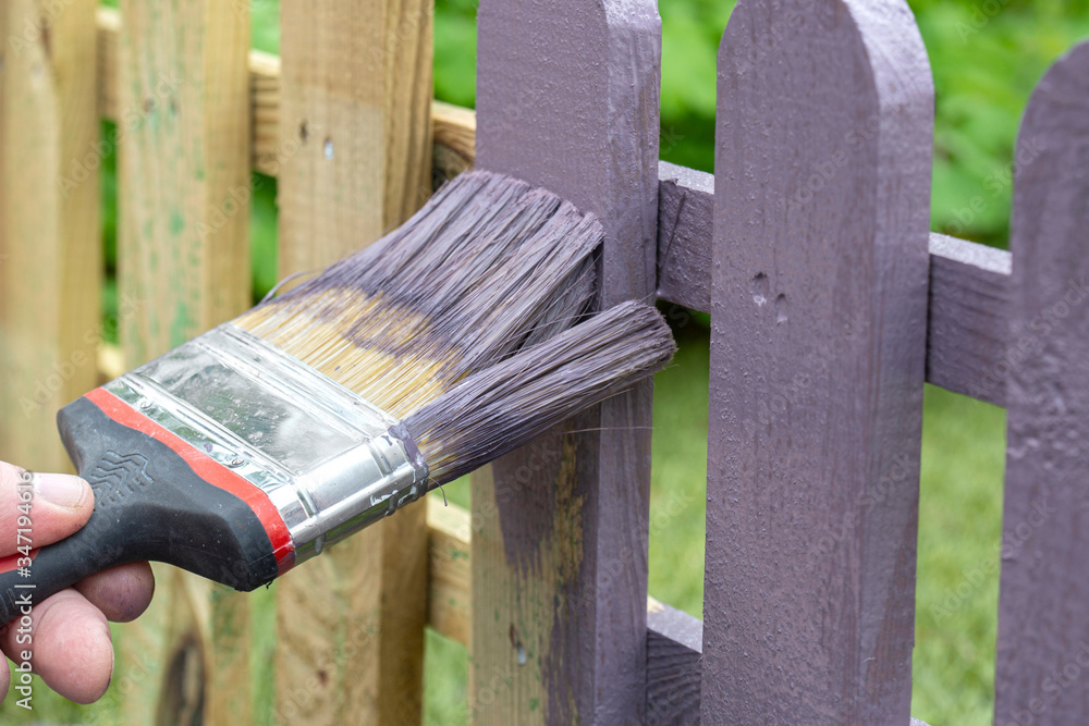 Man Painting a Wooden Picket Fence with Purple Wood Stain and Brush in a  Garden. Stock Photo - Image of natural, nailed: 182923494