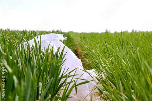 Pollution of nature and the environment. Social issue. Plastic bag thrown into the box.