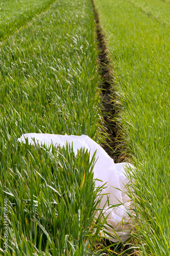 Blender, carrot, parsley, dill on a gray wooden table. Girl makes a smoothie of vegetables. Healthy lifestyle. Dietary nutrition. Carrots and greens close-up.