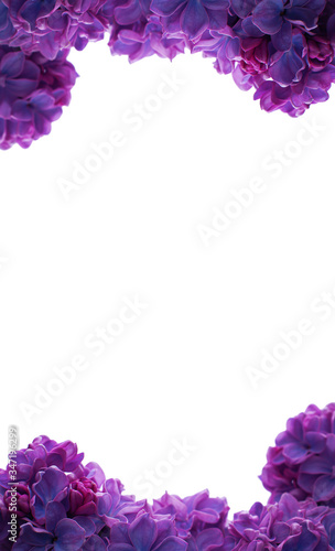 Greeting card from lilac on a white background