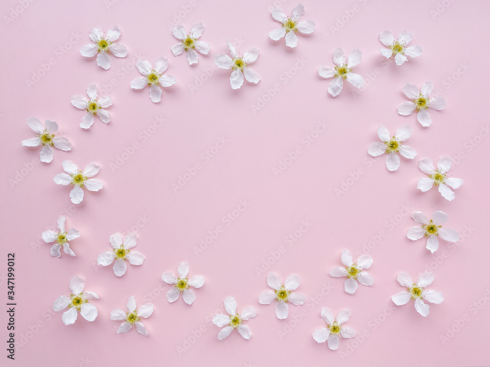 beautiful little white flowers on a pastel pink background.  Women's Day, Mother's Day, Valentine's Day, Wedding, Easter.  flat lay, top view, copy space, pattern, frame.