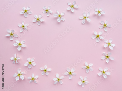 beautiful little white flowers on a pastel pink background.  Women's Day, Mother's Day, Valentine's Day, Wedding, Easter.  flat lay, top view, copy space, pattern, frame.