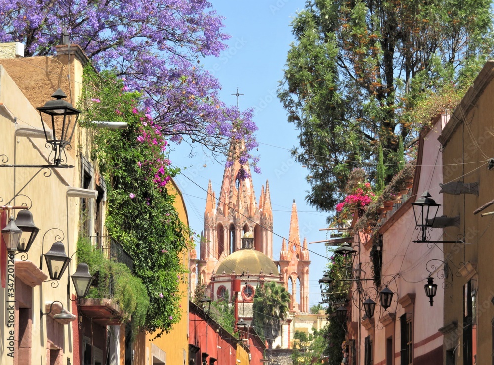 Fototapeta premium Piękny widok na ulicę San Miguel de Allende z kwitnącym drzewem jacaranda.