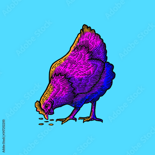 Chicken detail design art illustration