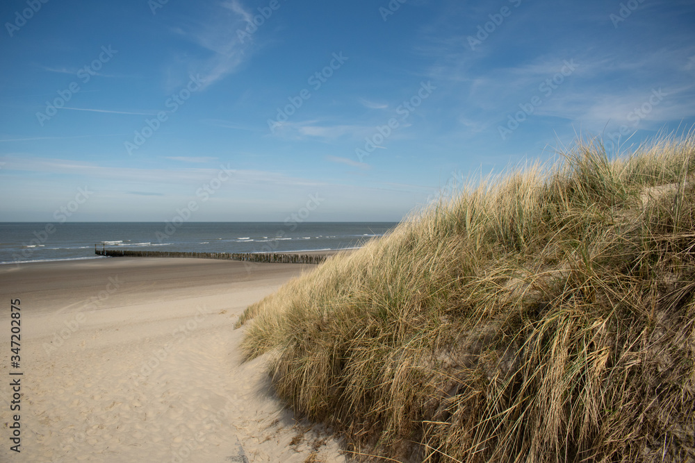 Sand dunes near to the sea with blue sky Sand dunes near to the sea with blue sky