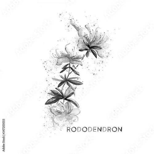 Aquarelle painting of beautiful flower sketch art illustration