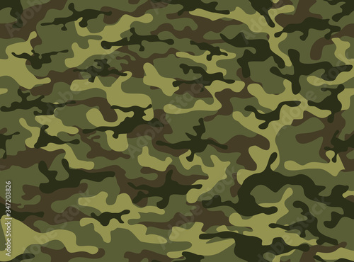 Camouflage green classic . Military pattern. Modern vector design