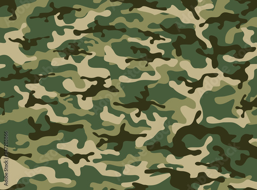 Seamless camouflage pattern. The print on the fabric. Modern vector design