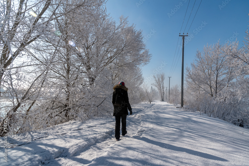 Frozen nature in Magnitogorsk, Russia. Woman walking on snow. Winter in Magnitogorsk. Woman walking in winter forest