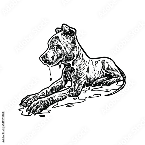 Dog lonely rain