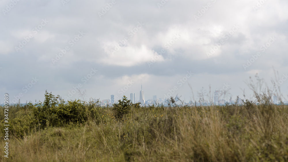 Nairobi National Park