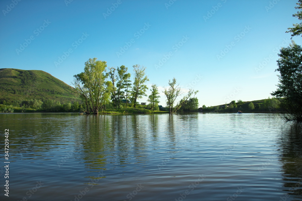 lake and trees