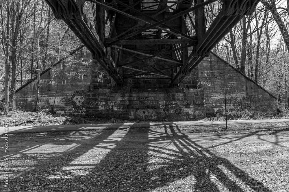 Fototapeta premium Under the Bridge