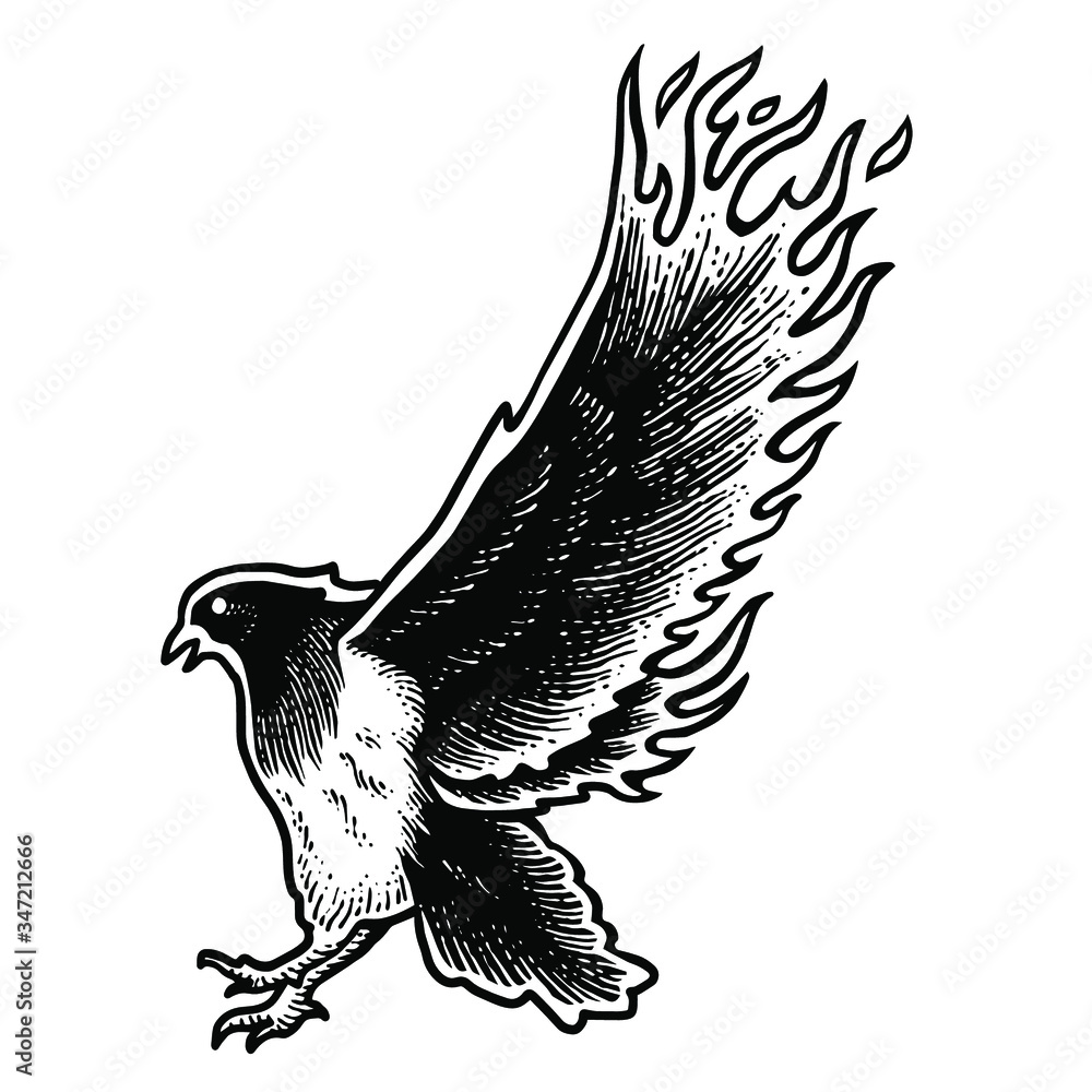 Fototapeta premium Flying dove engraving Vector illustration