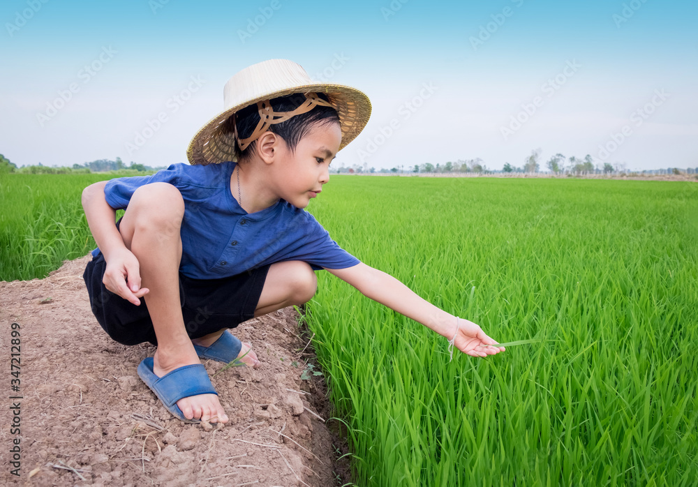 Asian boy wear bamboo hat playing as farmer plant rice at rice field Asian boy wear bamboo hat playing as farmer plant rice at rice field