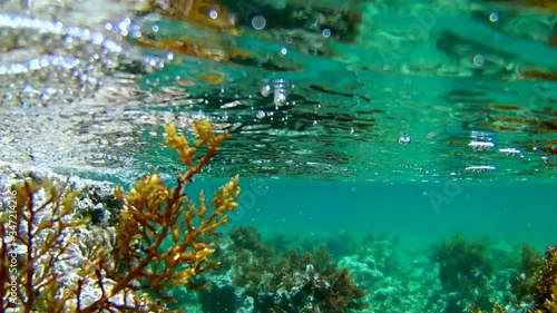 Underwater view through the clear sea water and Mediterranean Sea landscape