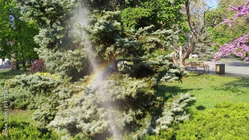 Sprinkler sprinkles water on the watering of trees