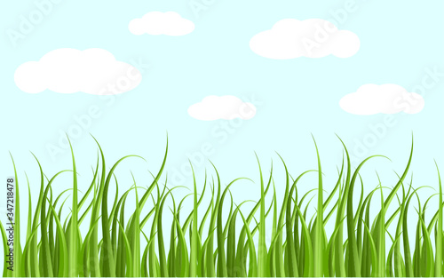 Beautiful green grass leaves. Isolated in white clouds and blue sky background. Vector Illustration.