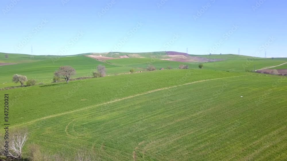 Drone forward shot over green fields in Thessaly, Greece. Shot in 4K. Drone forward shot over green fields in Thessaly, Greece. Shot in 4K.