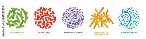 Probiotics, lactic acid bacteria. Good bacteria and microorganisms for human health. Microscopic probiotics, good bacterial flora
