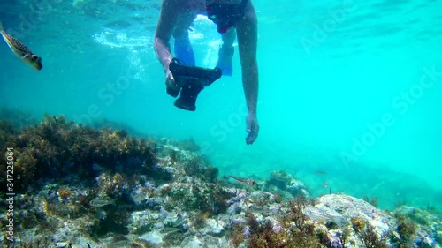 Photographer using camera in waterproof box to make photos and video underwater