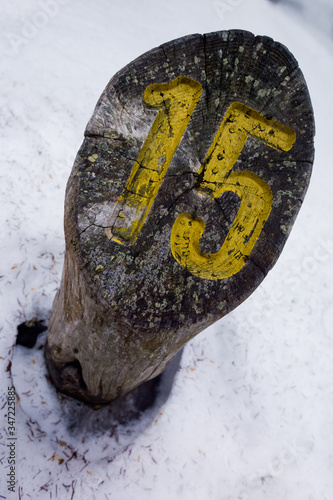 Palo sentiero su neve con numero 15, percorso per camminata nel bosco photo