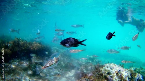 Photographer using camera in waterproof box to make photos and video underwater