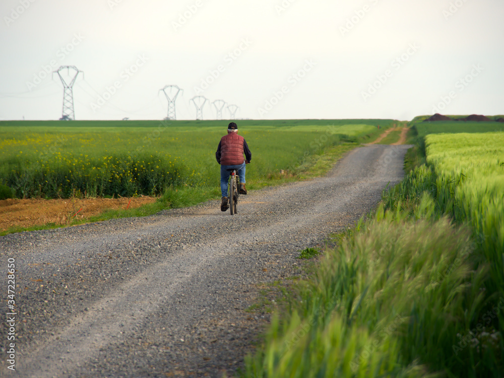 Obraz premium A man riding a bicycle alone on a dirt road on the side, lots of greenery
