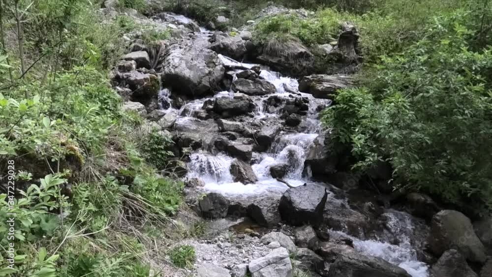ruscello nelle prealpi di ledro ruscello nelle prealpi di ledro