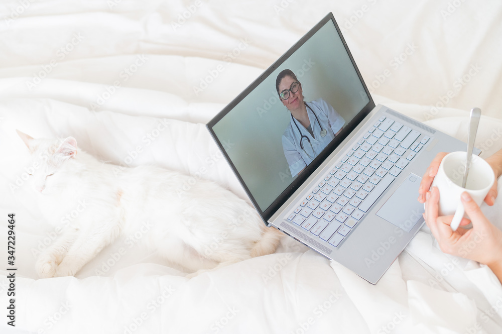 Unrecognizable girl watching a video with medical advice on a laptop. A woman conducts an online conversation with a doctor on a webcam. The cat lies in the legs of a cold owner. Unrecognizable girl watching a video with medical advice on a laptop. A woman conducts an online conversation with a doctor on a webcam. The cat lies in the legs of a cold owner.