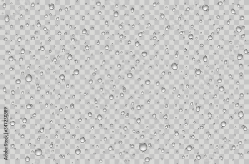 Water droplets on a transparent glass. Rain drops on window.