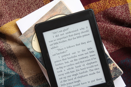Bilde på lerret e book reader