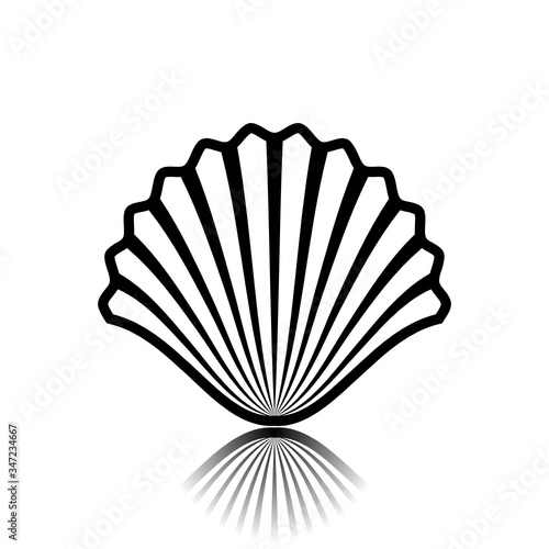 Sea shell as an icon. Illustration of a seashell as an icon on a white background 