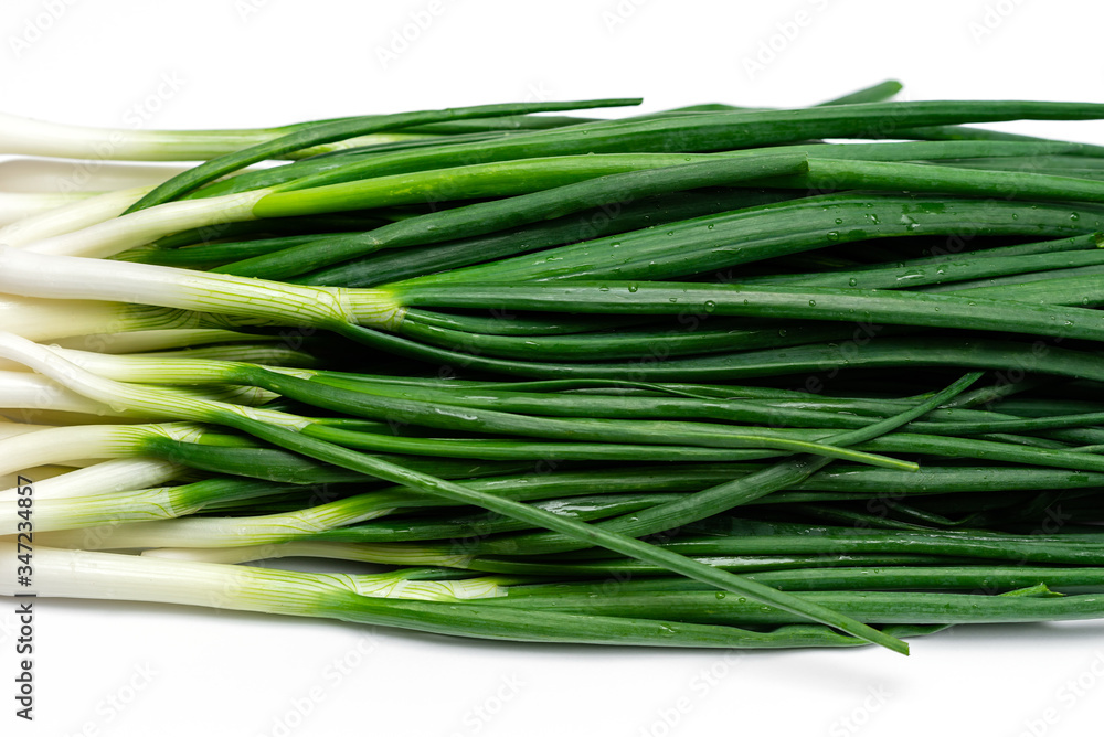 bunch of green fresh onions on a white background bunch of green fresh onions on a white background